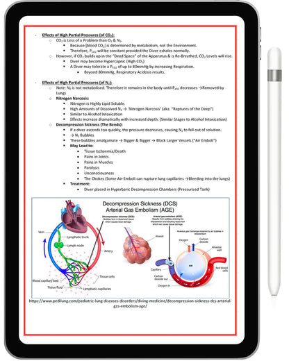 All 21 Medical Notes Bundle